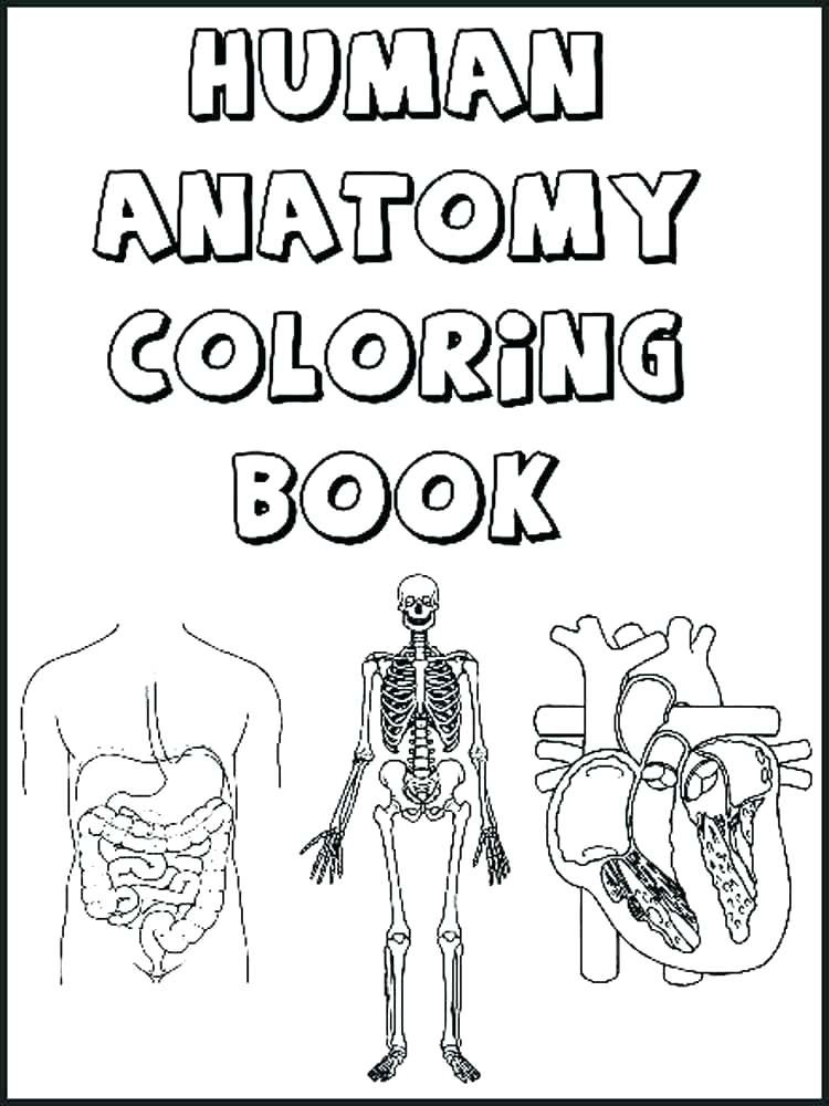 Human Anatomy Coloring Pages Printable
 Male Human Body Sketches Sketch Coloring Page