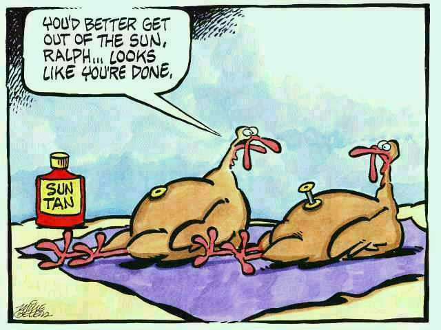 Humorous Thanksgiving Quotes
 Waety Muluss thanksgiving funny cartoons