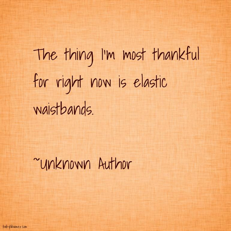 Humorous Thanksgiving Quotes
 Thanksgiving Quotes Funny Humorous Silly and Thankful