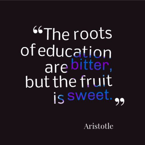 Importance Of Education Quotes
 Best 25 Importance of education quotes ideas on Pinterest