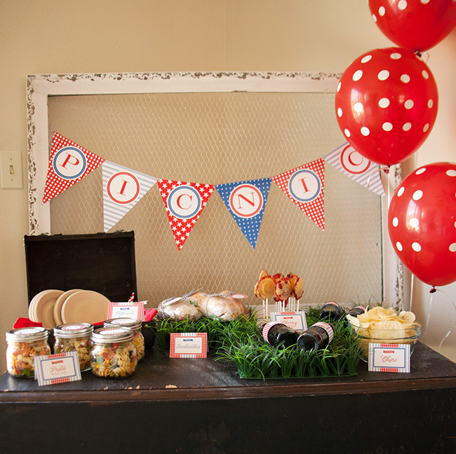 Indoor Birthday Party Ideas
 Patriotic indoor picnic