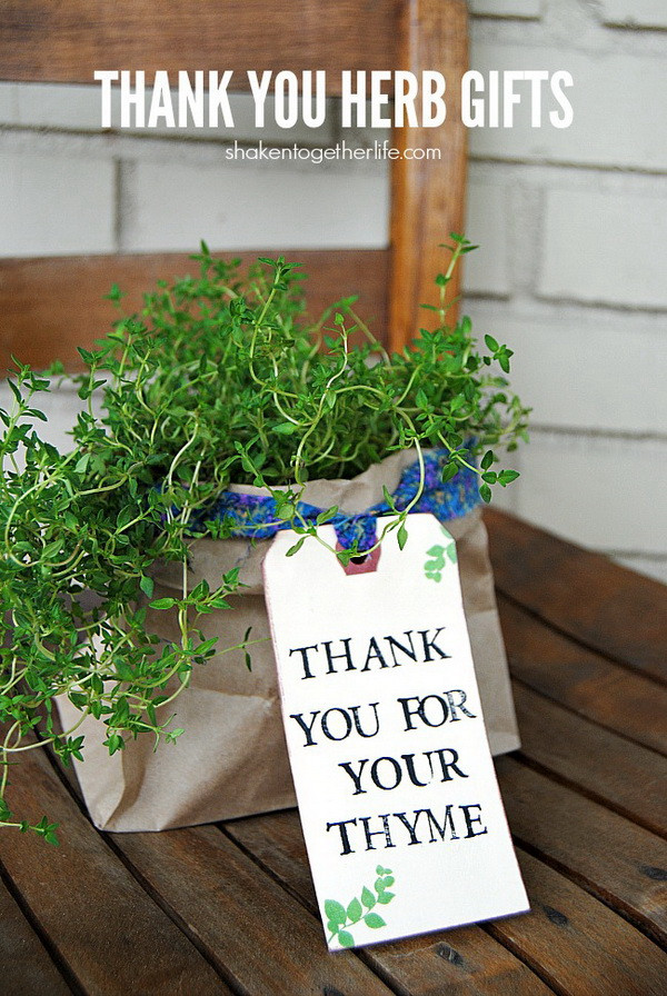 Inexpensive Thank You Gift Ideas
 30 Quick and Inexpensive Christmas Gift Ideas for