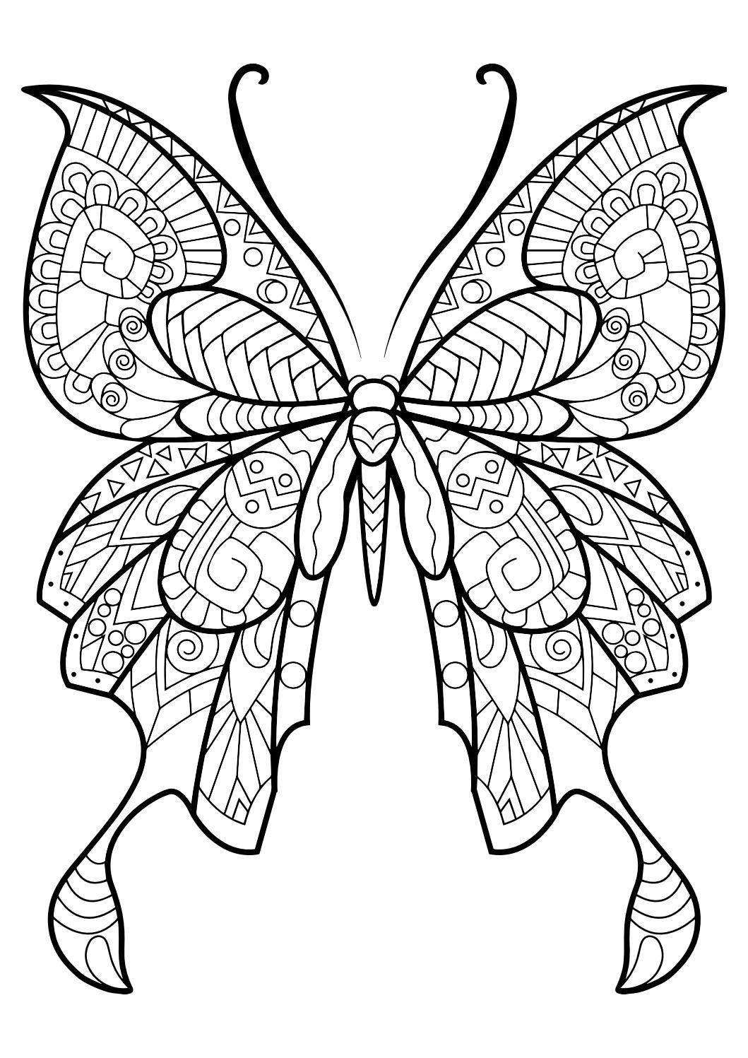 Insect Coloring Pages For Girls
 Adult Butterfly Coloring Book