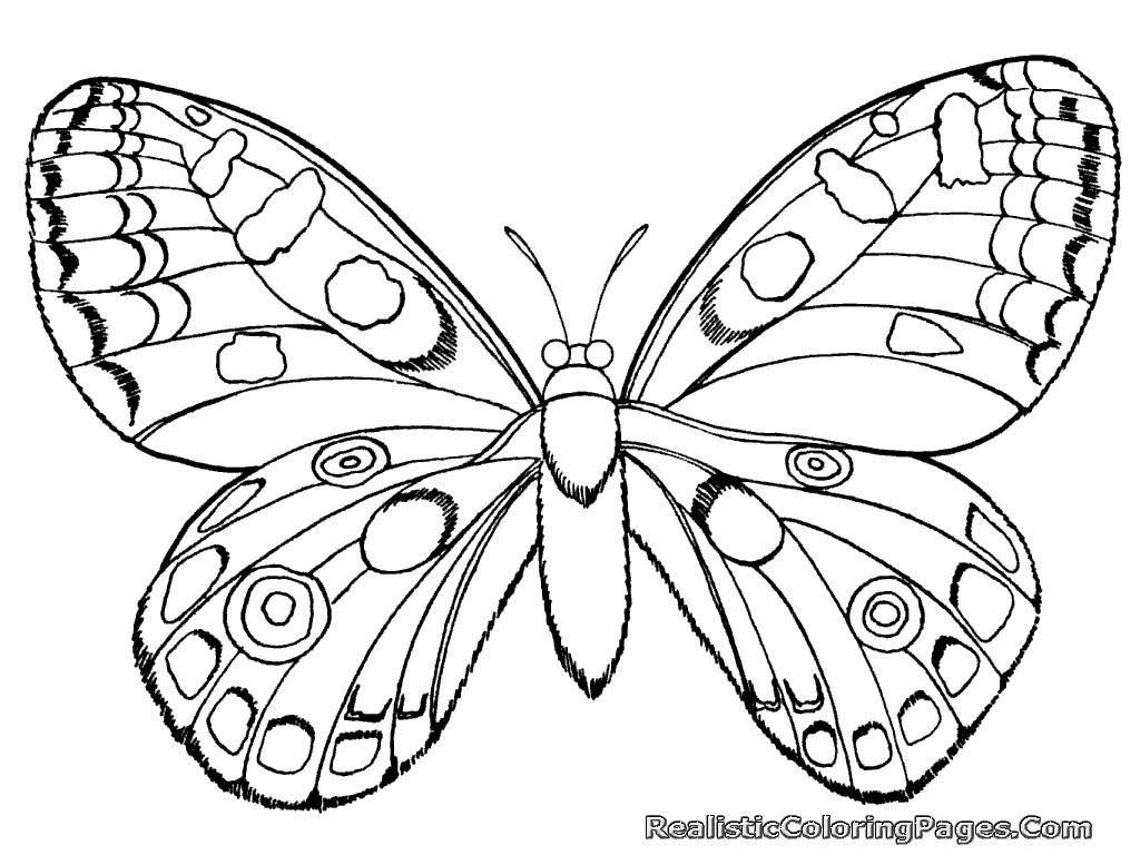 Insect Coloring Pages For Girls
 Realistic Insect Coloring Pages