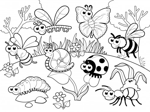 Insect Coloring Pages For Girls
 Detailed Coloring Page – Bugs in Our Garden