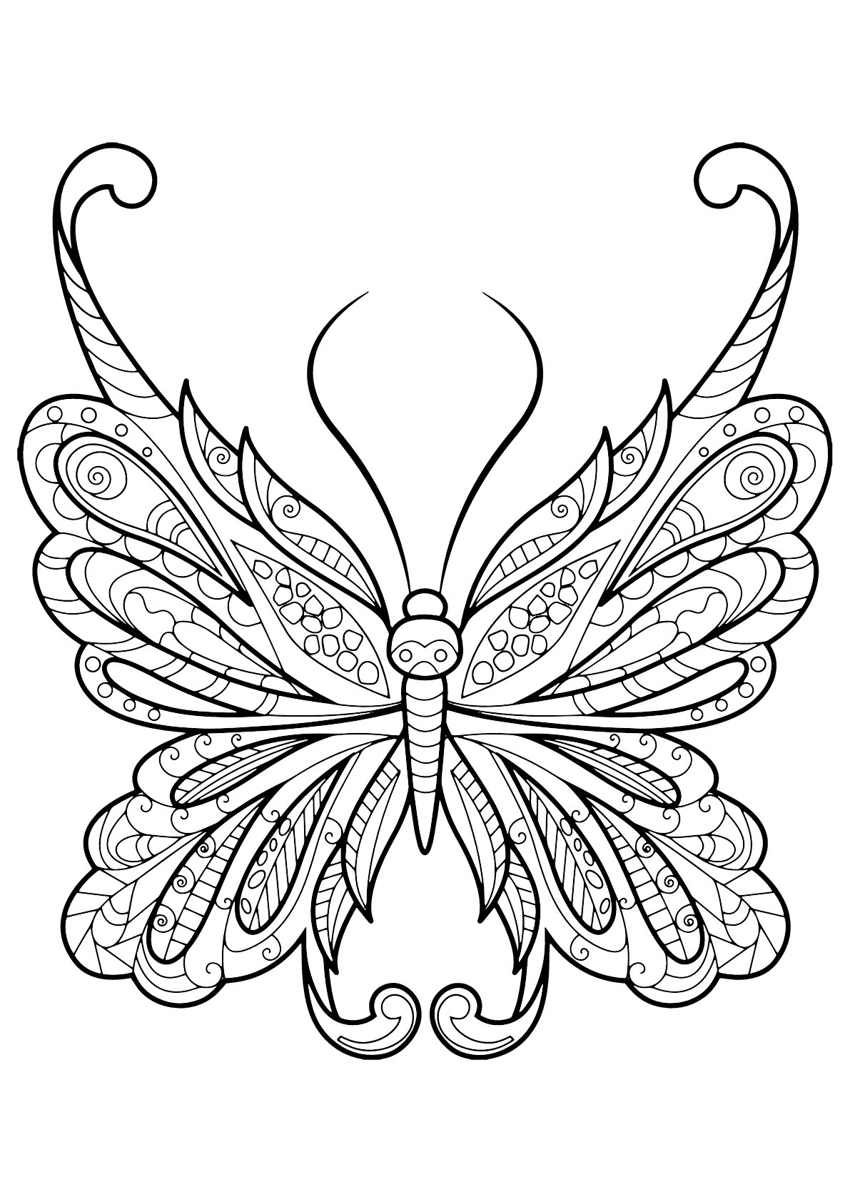 Insect Coloring Pages For Girls
 Butterfly beautiful patterns 18 Butterflies & insects