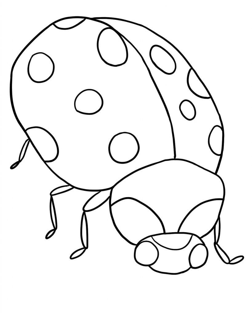 Insect Coloring Pages For Girls
 Free Printable Ladybug Coloring Pages For Kids