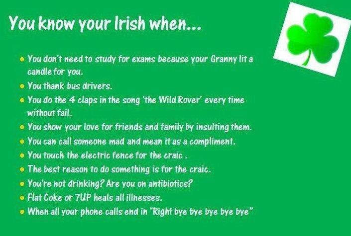 Irish Quotes About Family
 Irish Quotes