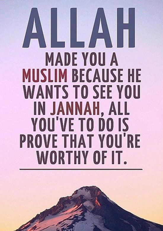 Islamic Motivational Quotes
 150 Inspirational Islamic Quotes About Life With