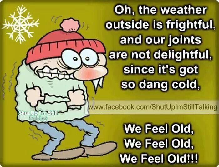 It'S So Cold Funny Quotes
 1000 images about Dang It s Cold Outside on Pinterest