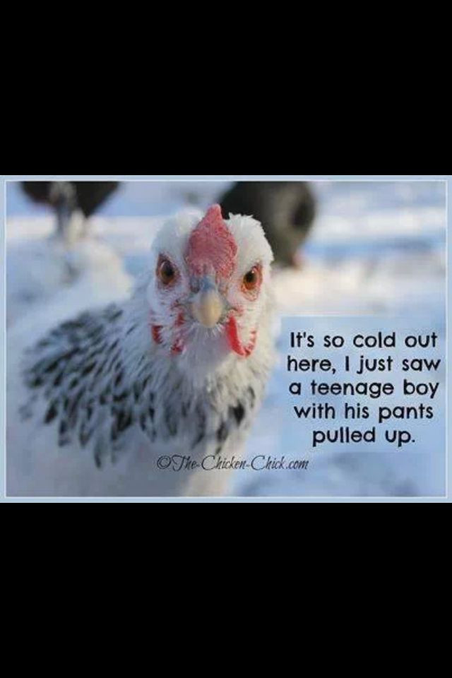 It'S So Cold Funny Quotes
 Funny Quotes About Cold Weather QuotesGram