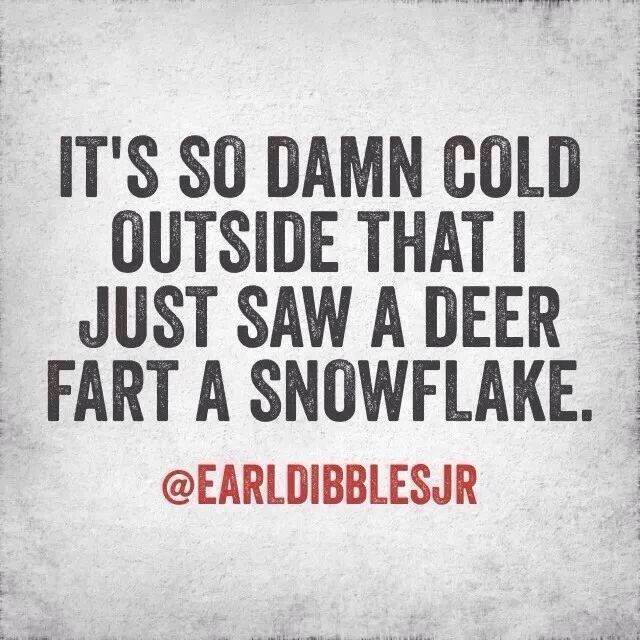 It'S So Cold Funny Quotes
 Its So Cold Funny Quotes QuotesGram