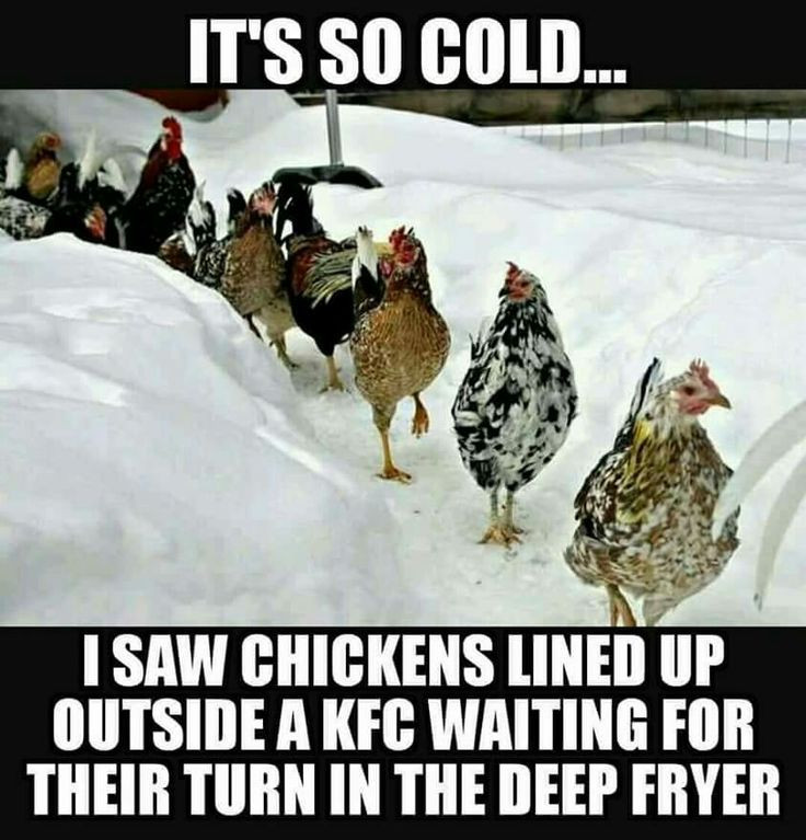 It'S So Cold Funny Quotes
 163 best Weather Humor images on Pinterest