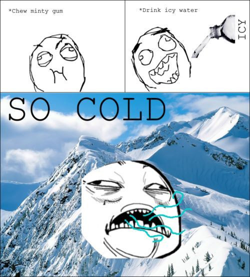 It'S So Cold Funny Quotes
 Funny Quotes about It being Cold