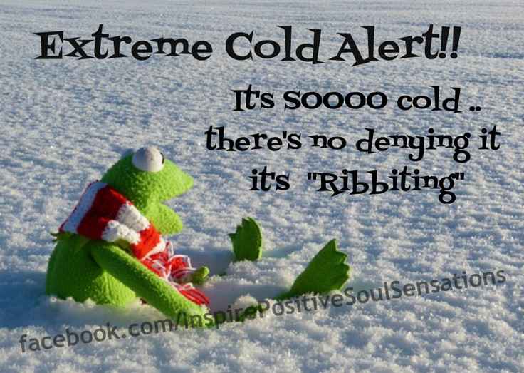 It'S So Cold Funny Quotes
 Its So Cold Funny Quotes QuotesGram