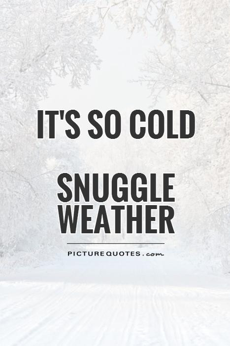 It'S So Cold Funny Quotes
 Cold Weather Quotes QuotesGram
