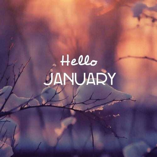 January Birthday Quotes
 Wel e January Happy New Year Pinterest