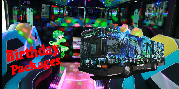 Kids Birthday Party Bus
 New Year s Eve Package