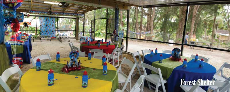 Kids Birthday Party Miami
 Party Venues for Children in Miami FL – Pinto s Farm