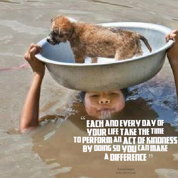 Kindness To Animals Quotes
 71 Kindness Quotes Sayings About Being Kind