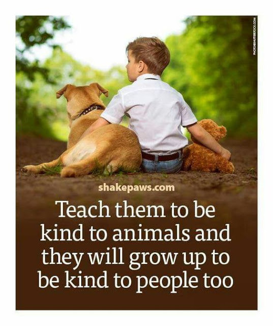 Kindness To Animals Quotes
 Animal Love Friday Motivation