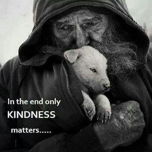 Kindness To Animals Quotes
 563 best Caregiver Inspirational Quotes & Stories images