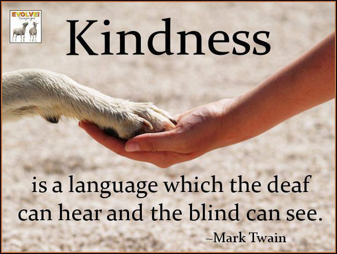 Kindness To Animals Quotes
 Quotes About Kindness To Animals Quotesgram Animal
