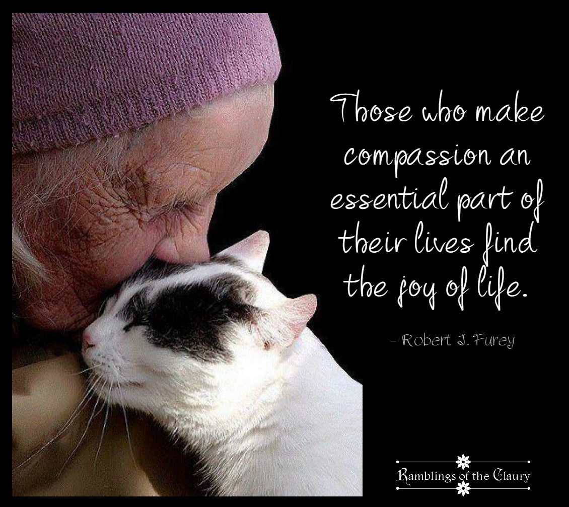 Kindness To Animals Quotes
 passion Is the Key To Joy