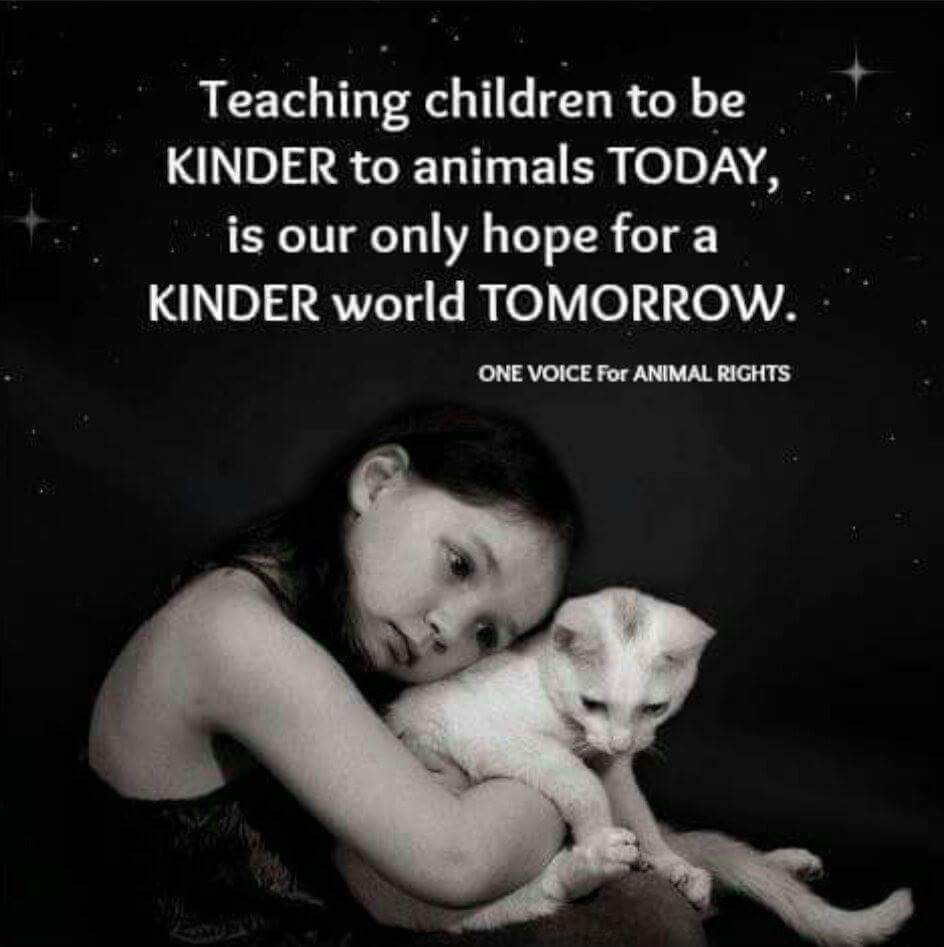Kindness To Animals Quotes
 teach children to be kind to animals