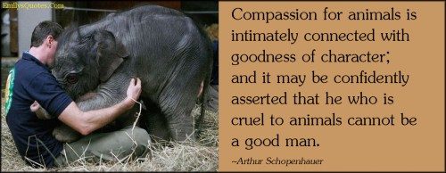 Kindness To Animals Quotes
 pasion Schopenhauer Quotes Animals QuotesGram