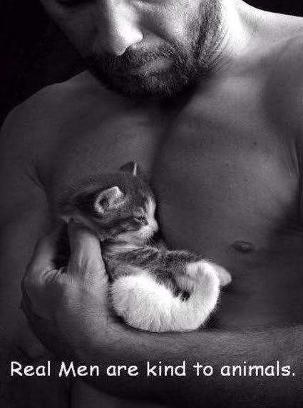 Kindness To Animals Quotes
 Real men are kind to animals