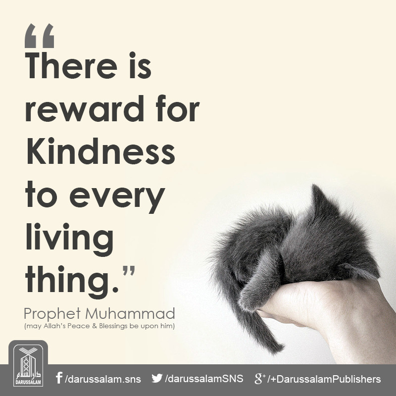 Kindness To Animals Quotes
 Kindness to Animals Islam knowledge