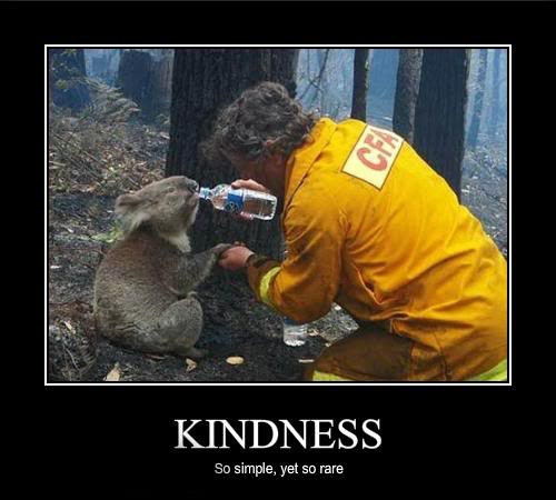 Kindness To Animals Quotes
 Quotes About Kindness To Animals QuotesGram