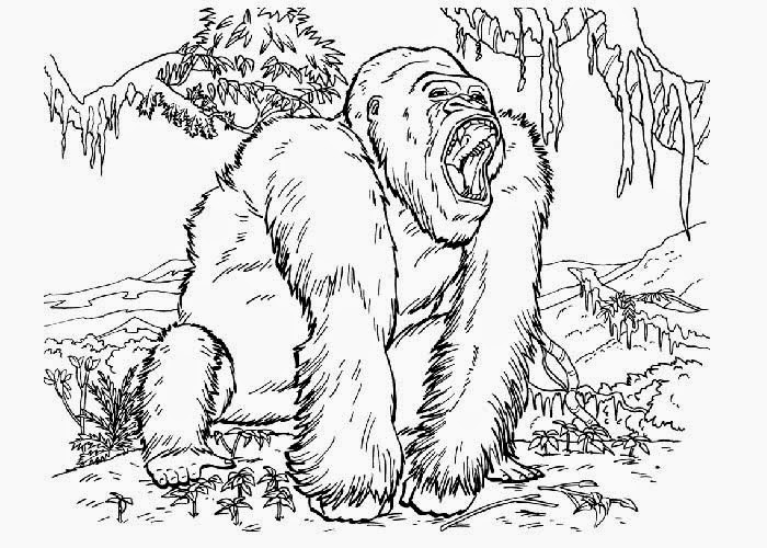 King Kong Coloring Pages
 King Kong coloring pages