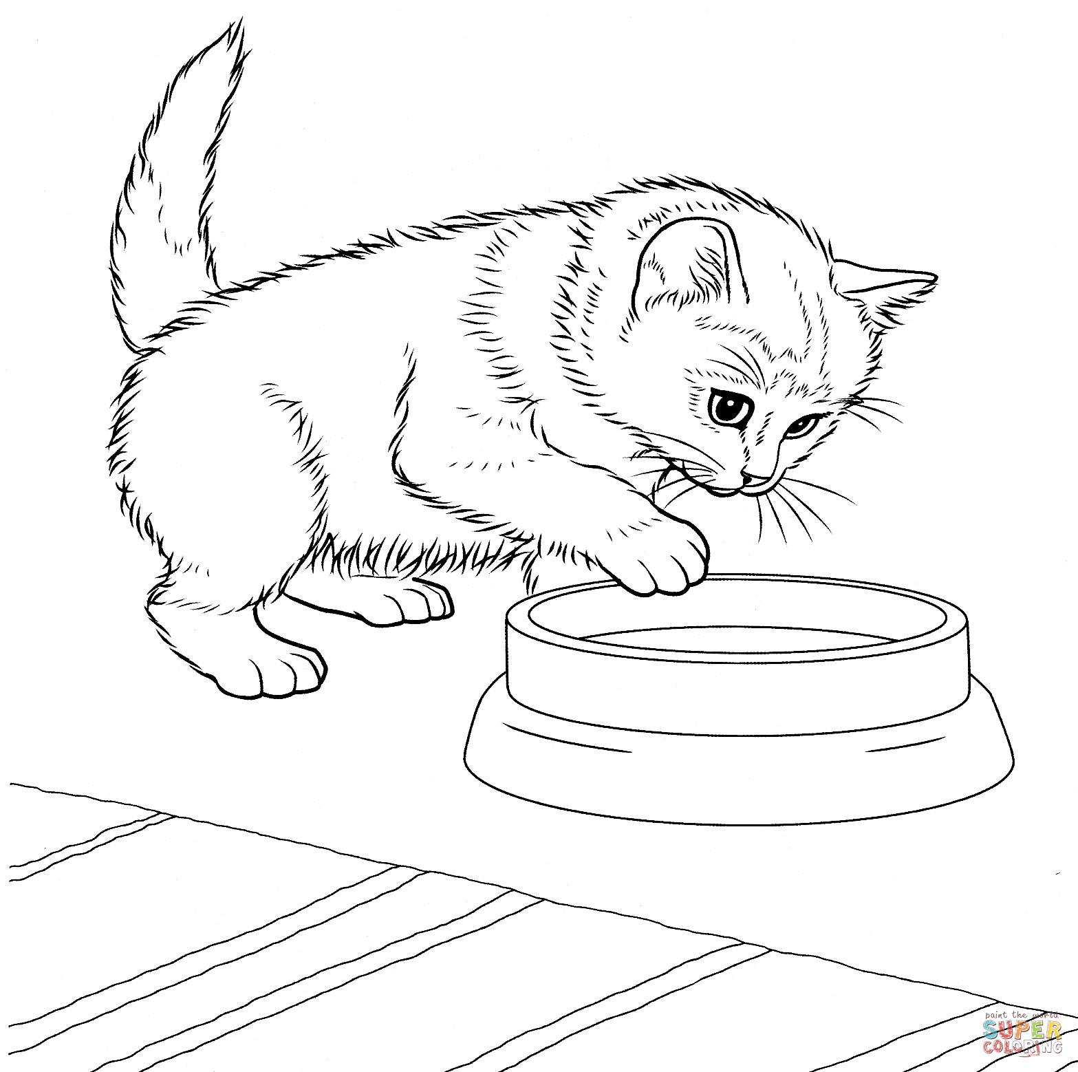 Kitten Printable Coloring Pages
 Javanese Kitten coloring page