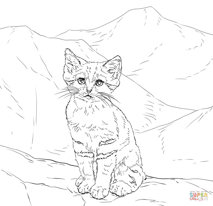 Kitten Printable Coloring Pages
 Sand Cat Kitten coloring page