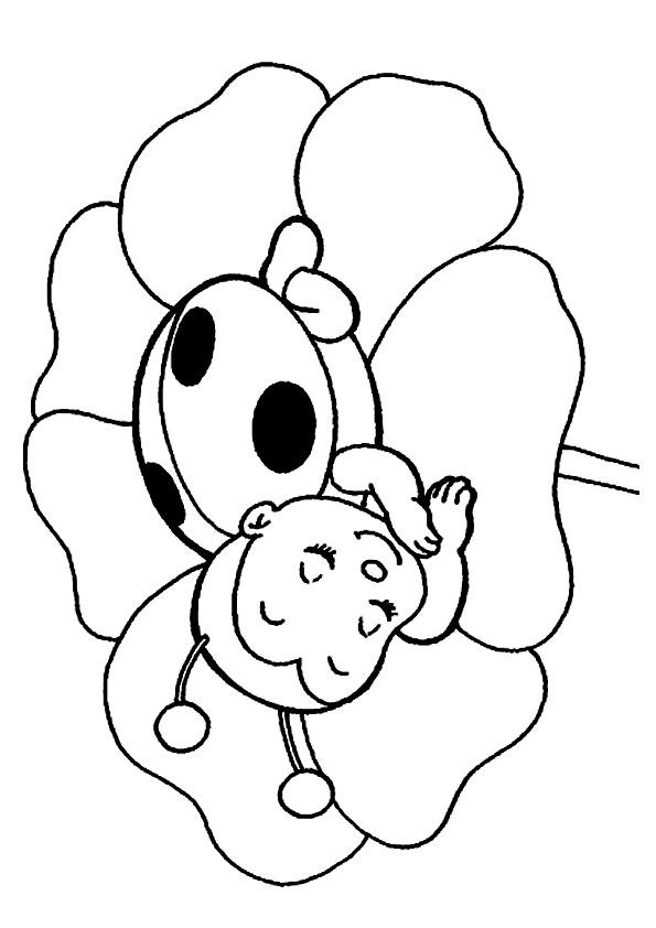 Ladybug Girl Coloring Pages
 print coloring image Adrianna Pinterest