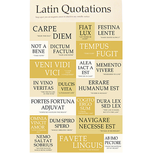 Latin Quotes About Family
 Latin Quotes About Death QuotesGram