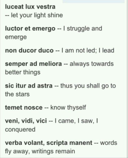 Latin Quotes About Family
 Some of these Latin verses would make great tattoos