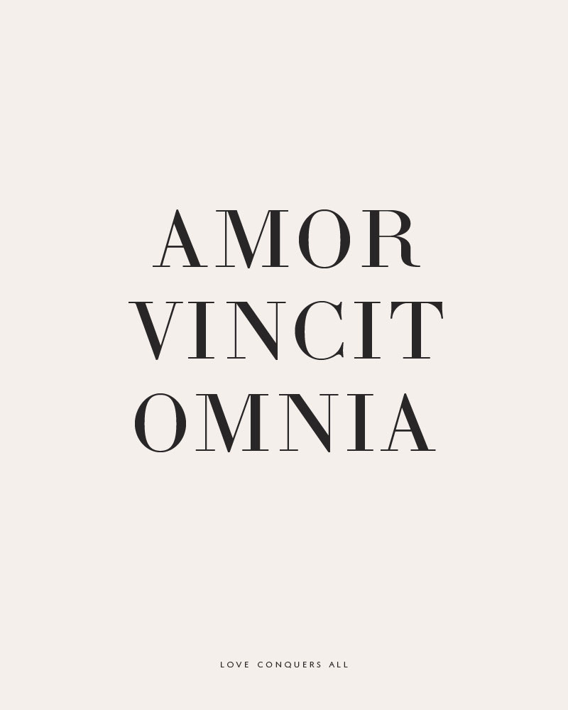 Latin Quotes About Family
 Amor Vincit Omnia Besotted