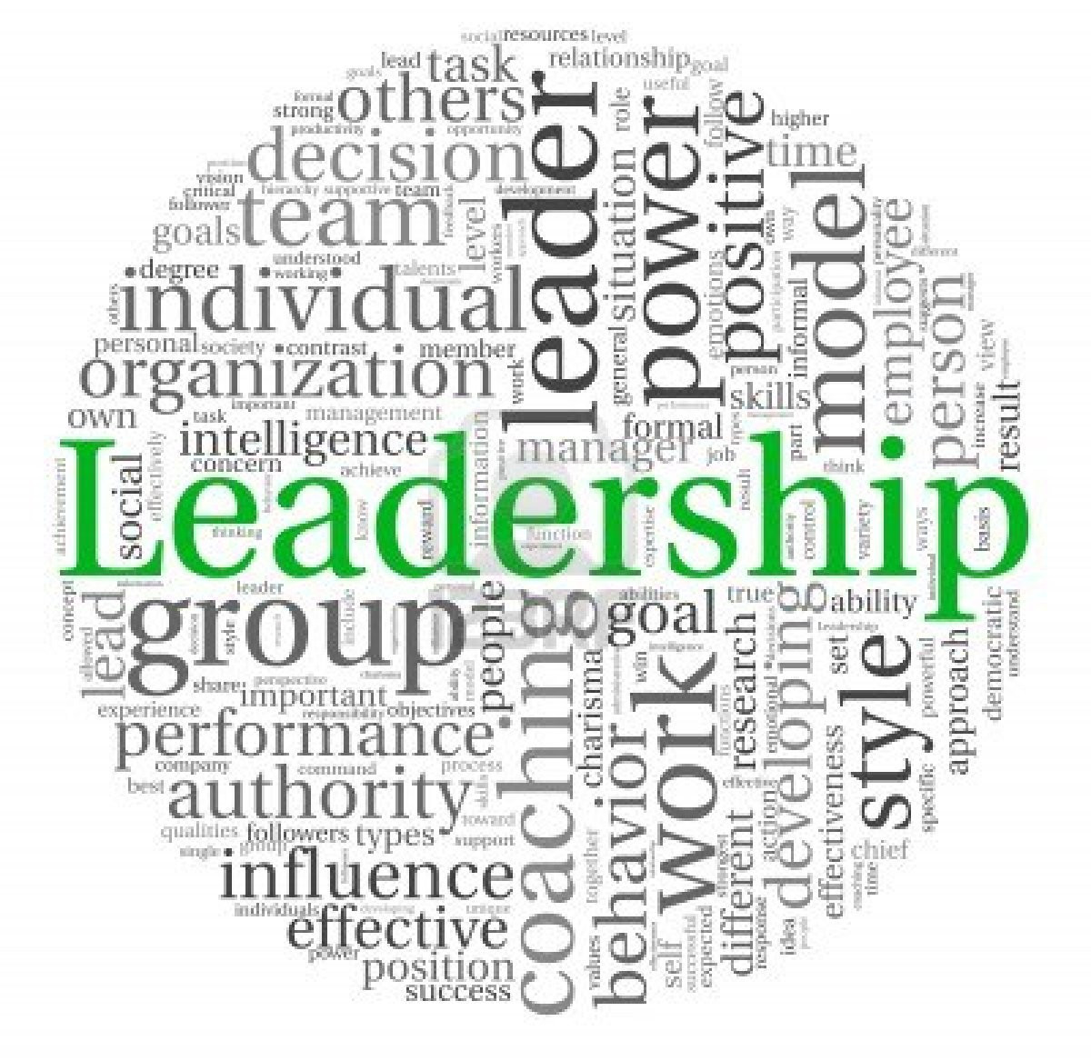 Leadership Development Quotes
 Leadership Development Quotes QuotesGram