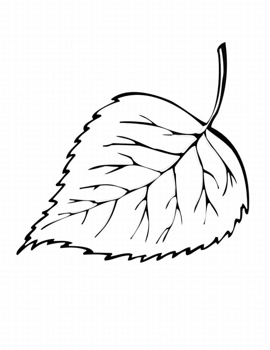 Leaves Coloring Pages Printable
 Free Printable Leaf Coloring Pages For Kids