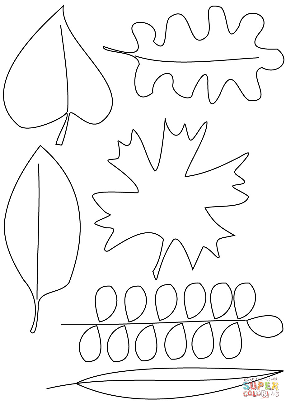 Leaves Coloring Pages Printable
 Autumn Leaves coloring page
