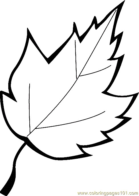 Leaves Coloring Pages Printable
 Leaf Coloring Page 13 printable coloring page for kids and