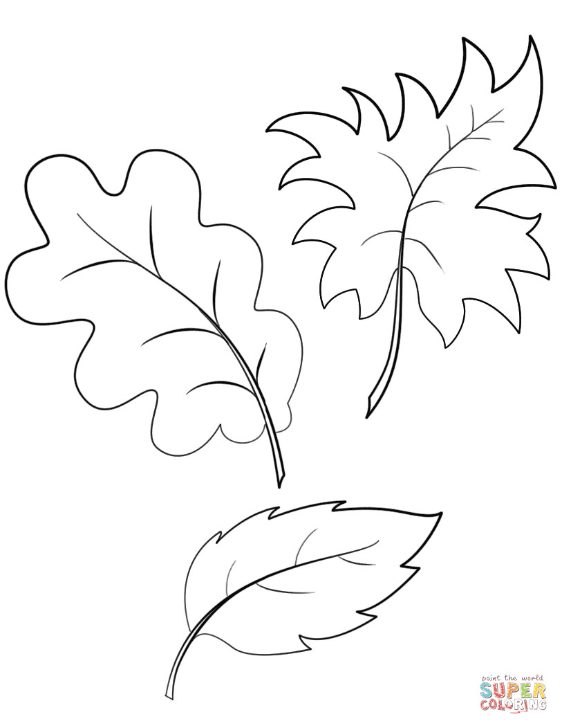 Leaves Coloring Pages Printable
 Fall Autumn Leaves coloring page