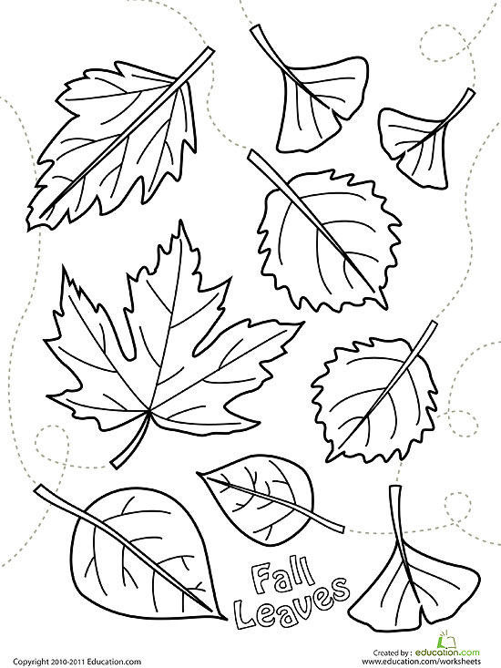Leaves Coloring Pages Printable
 Printable Fall Coloring Pages
