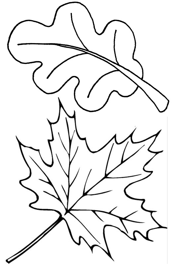 Leaves Coloring Pages Printable
 Subsisting in Suburbia