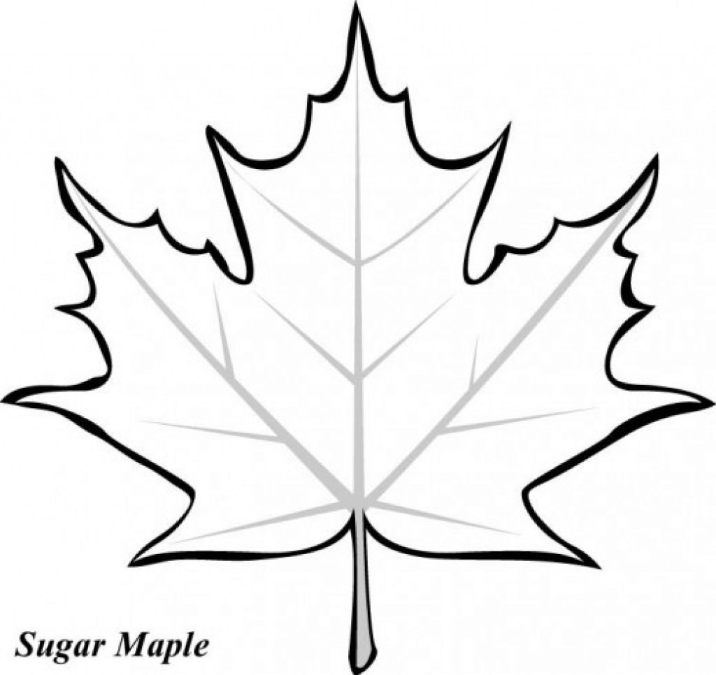 Leaves Coloring Pages Printable
 Fall Leaves Coloring Pages coloringsuite