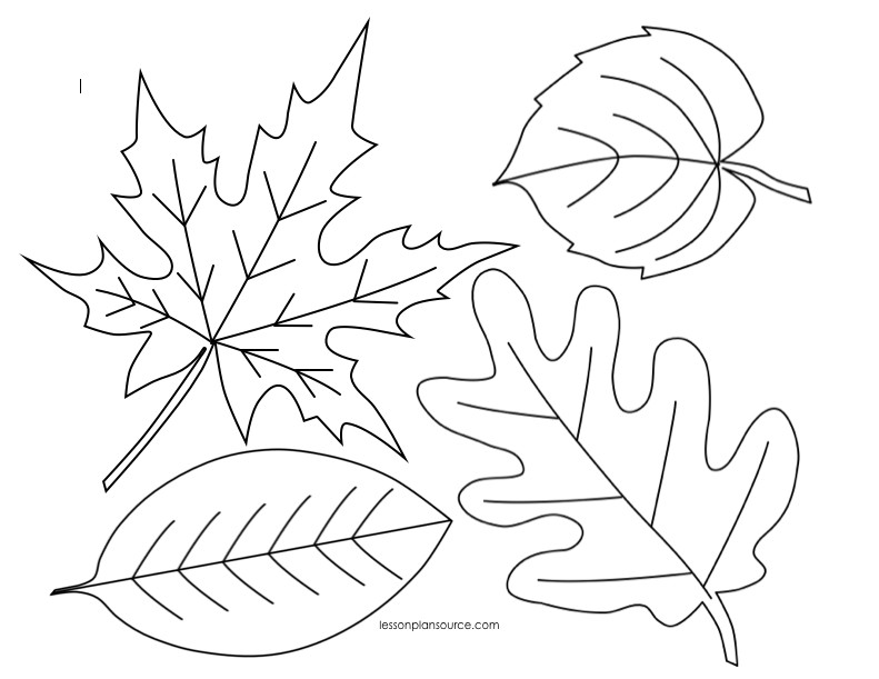 Leaves Coloring Pages Printable
 We re Going on a Leaf Hunt Follow up Activities
