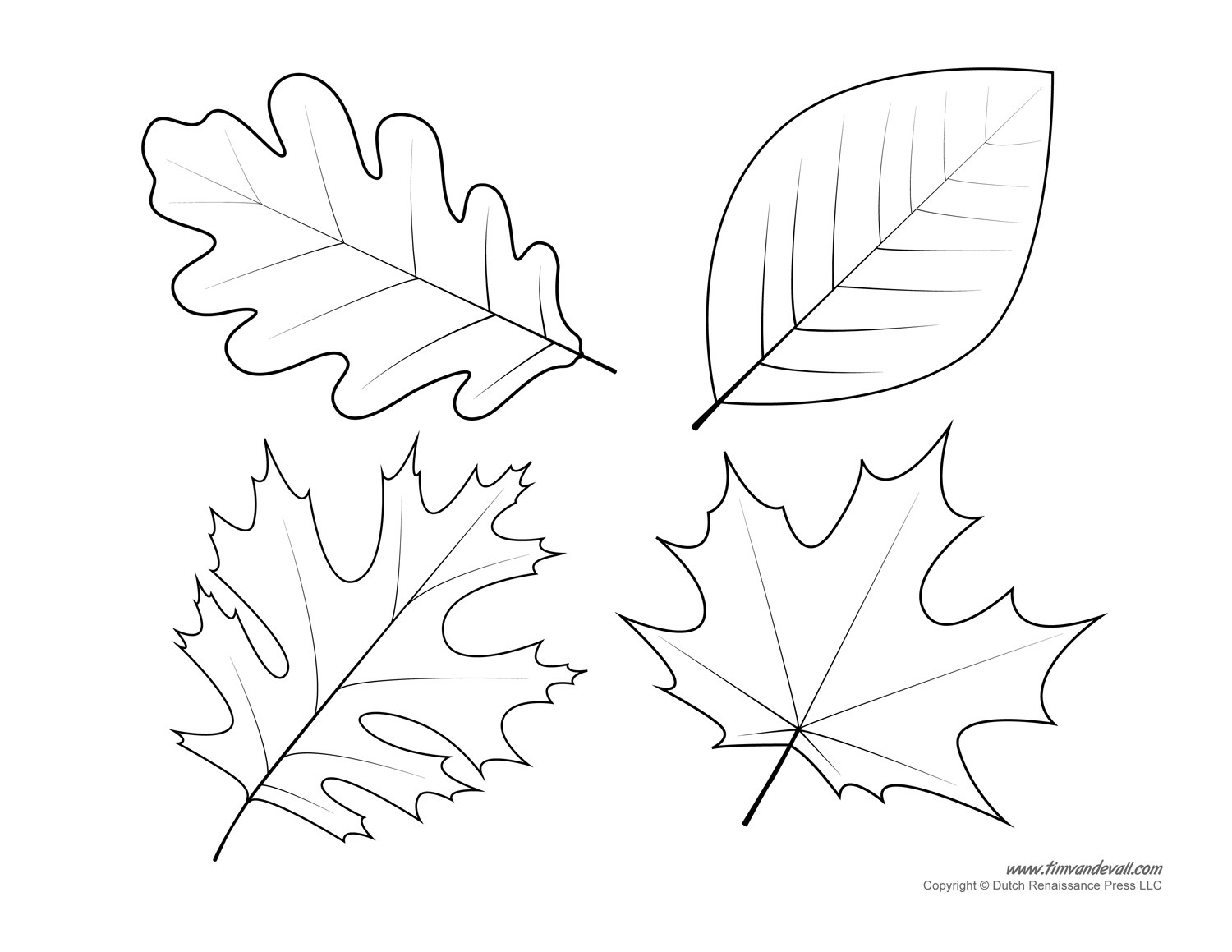 Leaves Coloring Pages Printable
 Leaf Templates & Leaf Coloring Pages for Kids